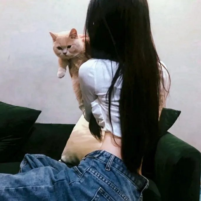 猫和粉茎